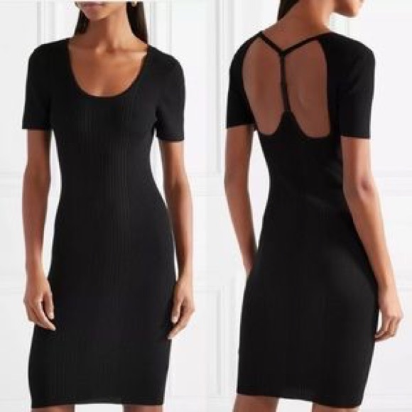 T by Alexander Wang Dresses & Skirts - T by Alexander Wang Back Strap Wool Dress sz S NWT